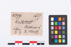 Etikett zu Bronzeschüsselhelmknauf (NHMW-PRAE-001399)